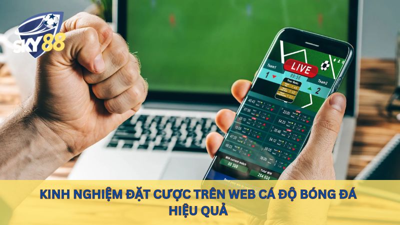 Kinh nghiệm đặt cược trên web cá độ bóng đá hiệu quả