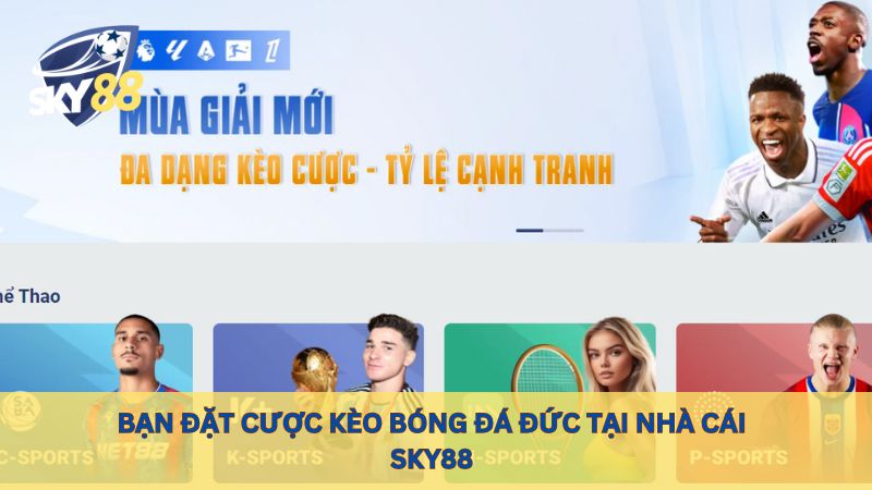 Bạn nên đặt cược kèo bóng đá Đức tại nhà cái sky88